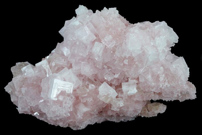 Pink Halite Crystal Plate - Trona, California #61059